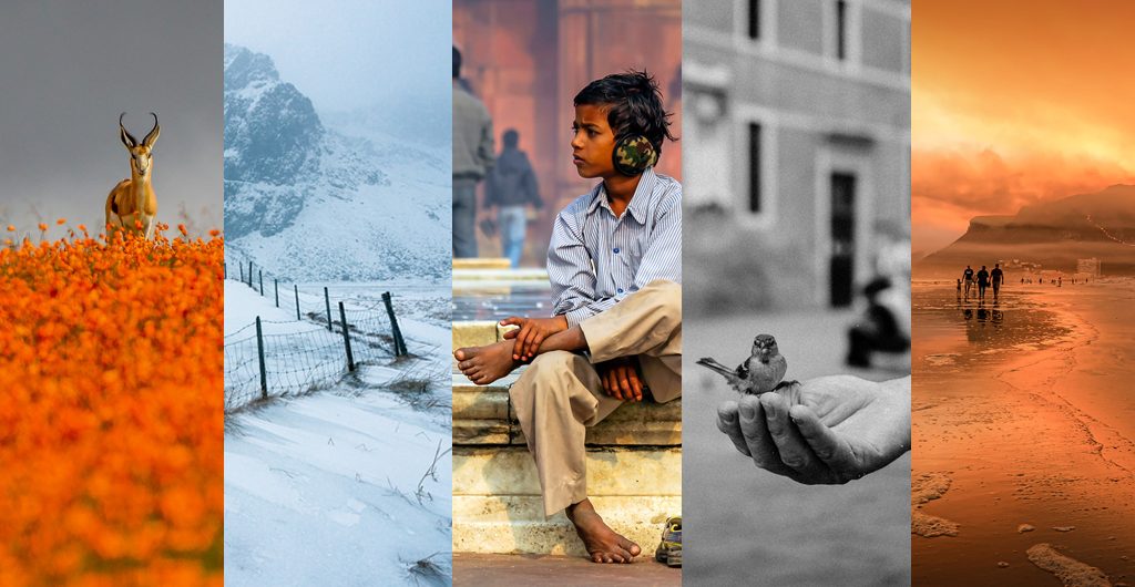 Choose from these five great community photo submissions and vote for your favourite Photo of the Month!