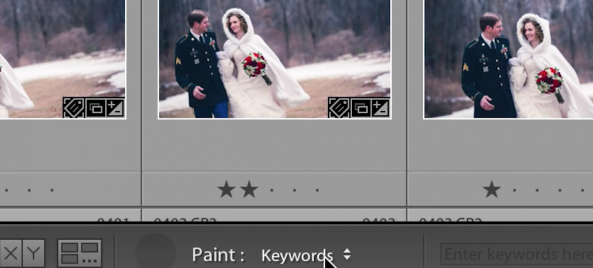 Lightroom Workflow: An easy way to keyword your photographs