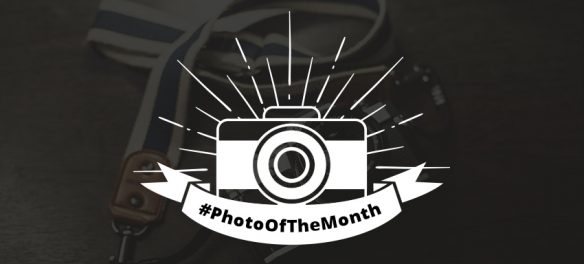 Orms-Photo-Of-The-Month-Competition