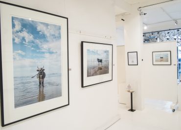 Christopher Rimmer Amapondo Exhibition on Orms Connect Photographic Blog