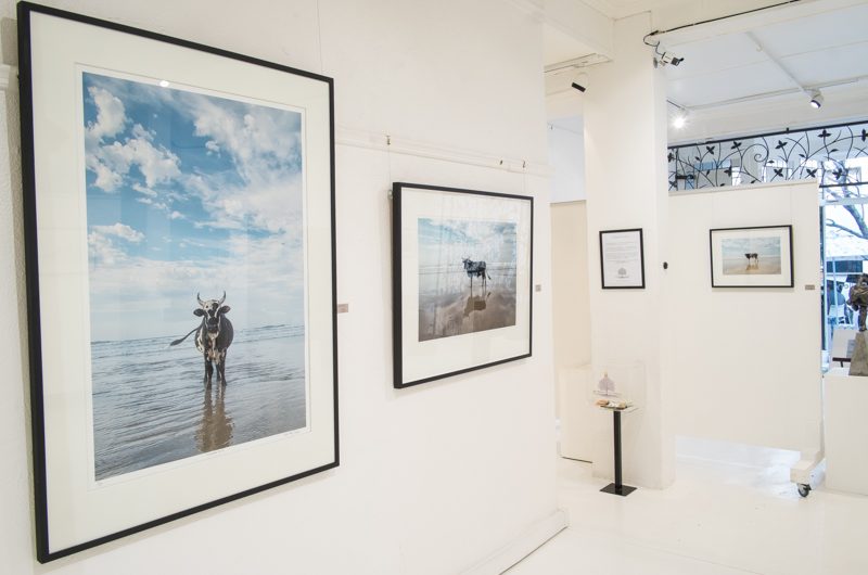 Christopher Rimmer Amapondo Exhibition on Orms Connect Photographic Blog