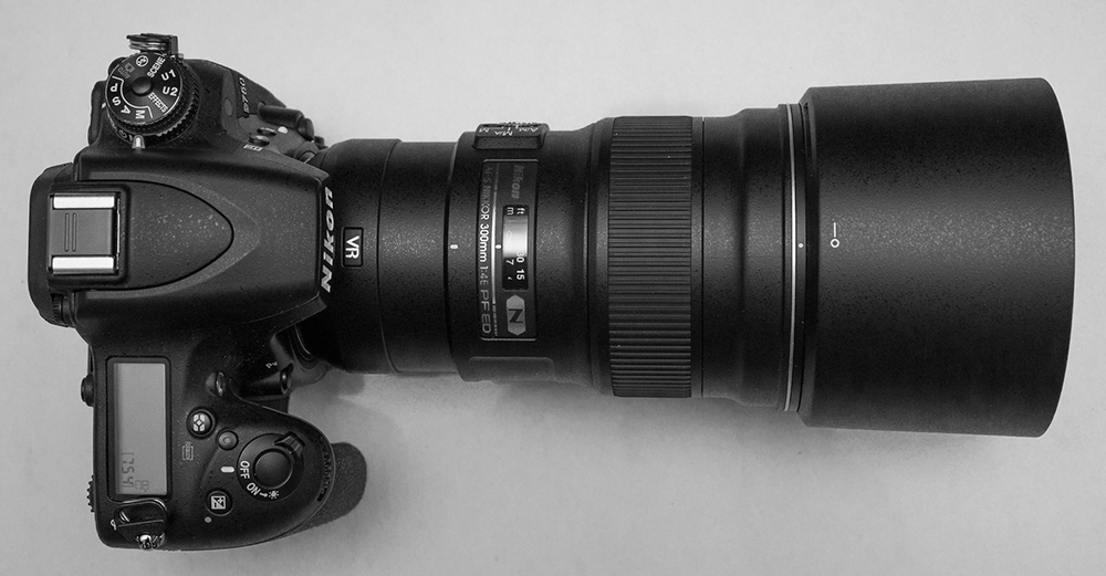 Nikkor 300mm F/4E Lens Review by Albert Froneman - The Orms