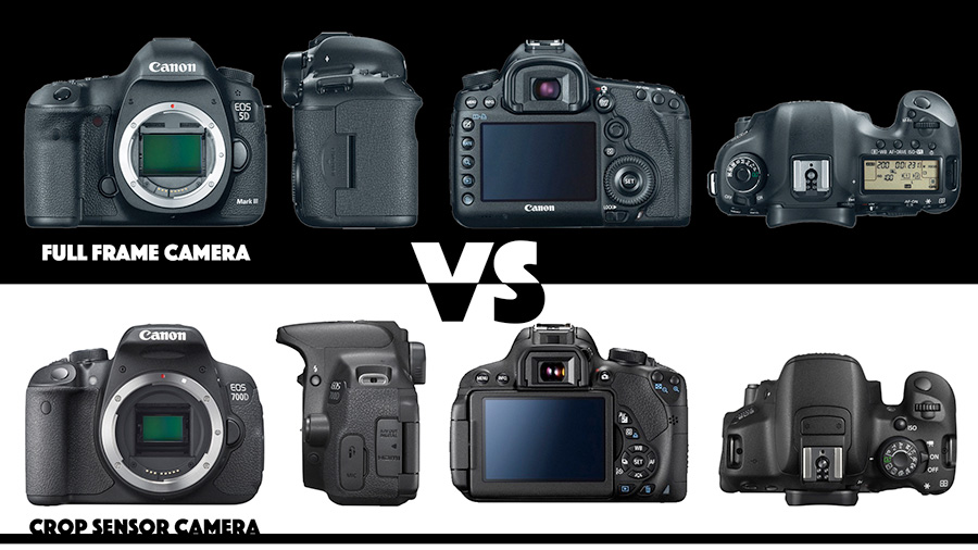 Full frame vs Crop sensor cameras on OrmsTV