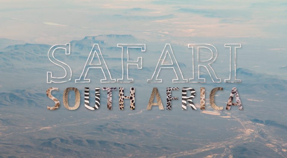 South-Africa-safari-hyperlapse-on-Orms-Connect