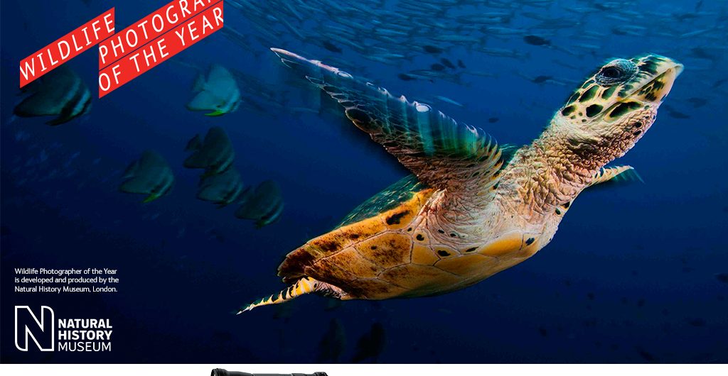 Wildlife Photographer of the Year Exhibition