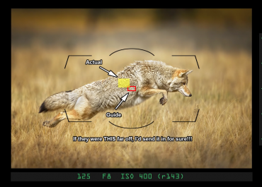 8 Common autofocus problems and how to solve them