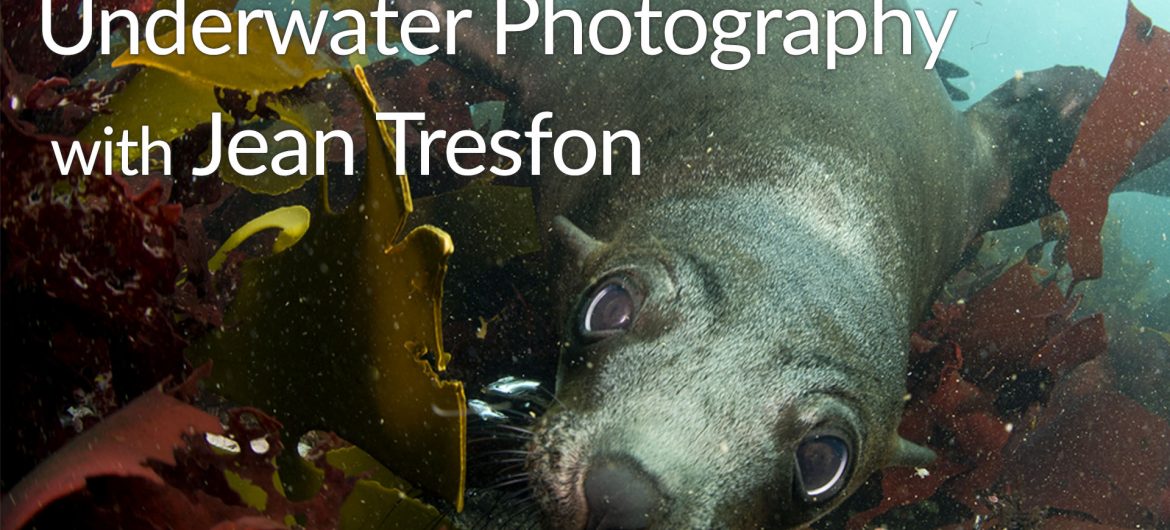 Underwater photography with Jean Tresfon