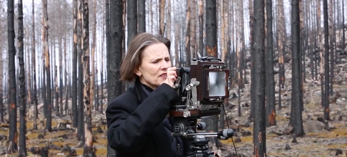 Nature vs Humanity on a 4x5 Large Format Film Camera