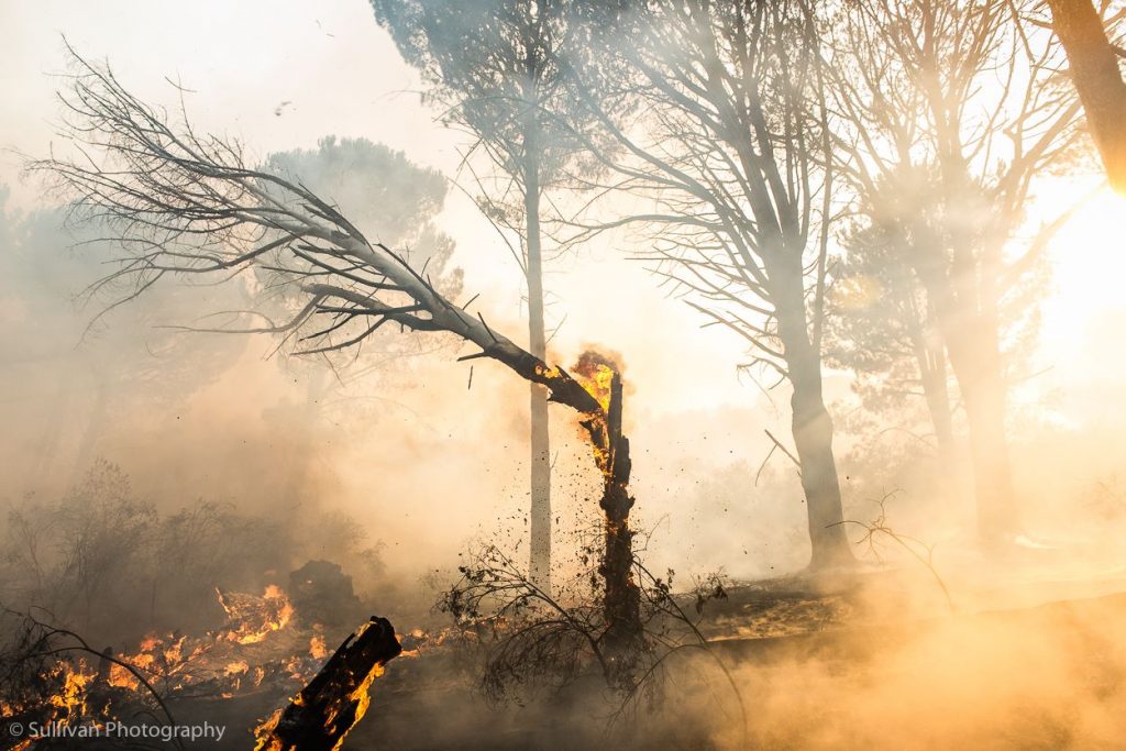 justin-sullivan-westerncape-paarl-somersetwest-wildfires-2017