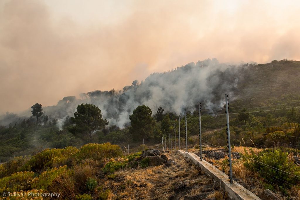 justin-sullivan-westerncape-paarl-somersetwest-wildfires-2017