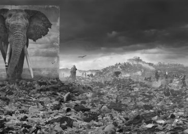 Inspiration: The Exceptional Work by Nick Brandt