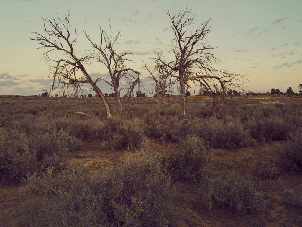 Photographic Inspiration: “The Remnants” featured on Orms Connect