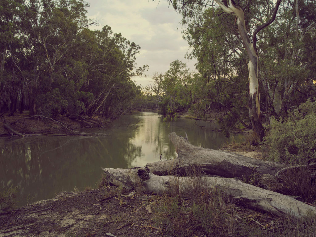 Photographic Inspiration: “The Remnants” featured on Orms Connect