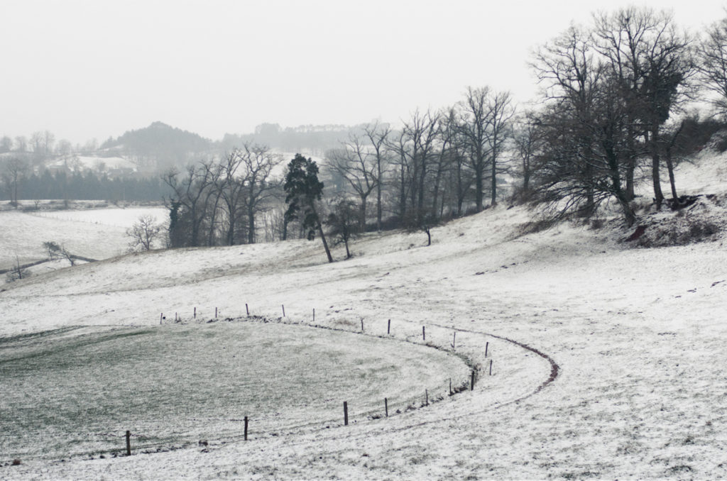 Black Seasons by Julien Coquentin