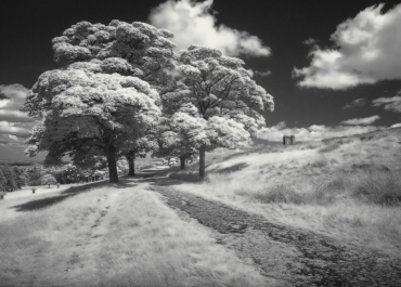 The Easy Guide to Infrared Photography