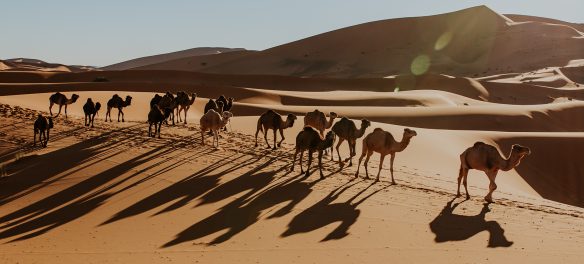 Travel-Photography-Vincent-Brod-Morocco-featured-on-Orms-Connect