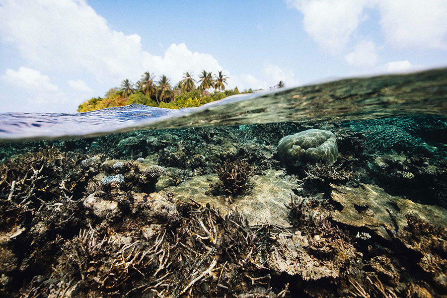 Matt-Porteous-Below-the-Breaking-Wave-Underwater-Photography-Inspiration