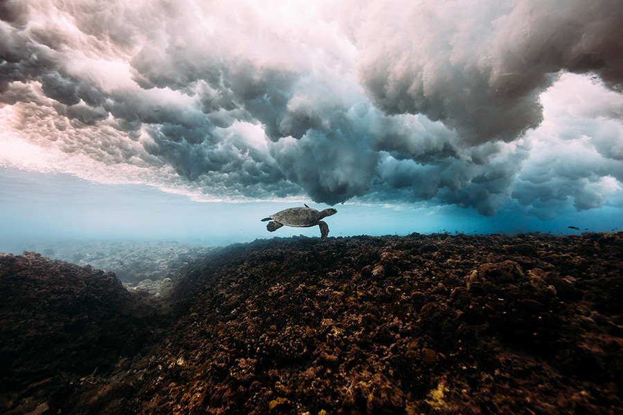 Matt-Porteous-Below-the-Breaking-Wave-Underwater-Photography-Inspiration