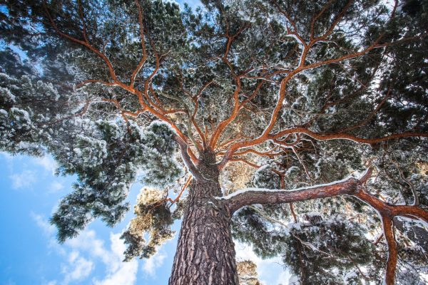 The Sky is the Limit by Anna Rebecka Lindberg in Sweden