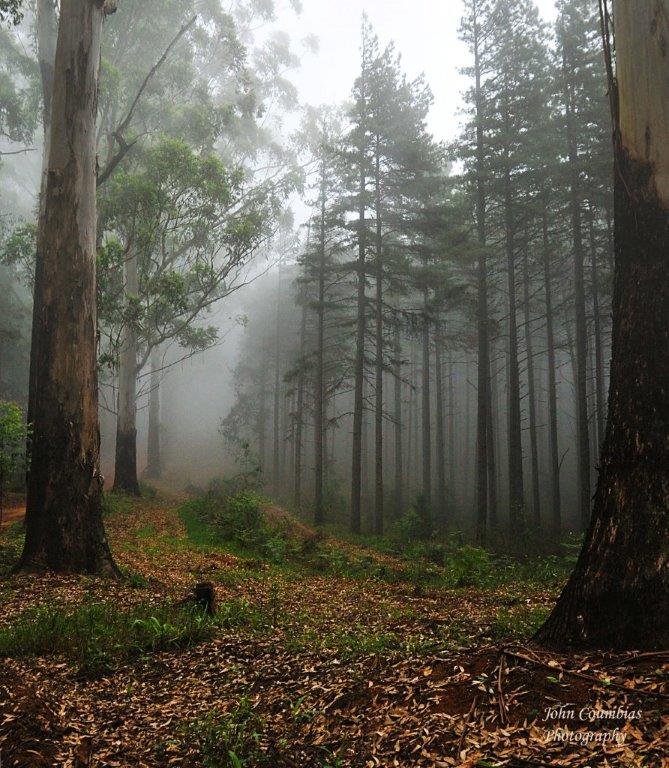 Unbroken Wilderness | John Combias Photography Exhibition | The Viewing Room Art Gallery @ St. Lorient PTA