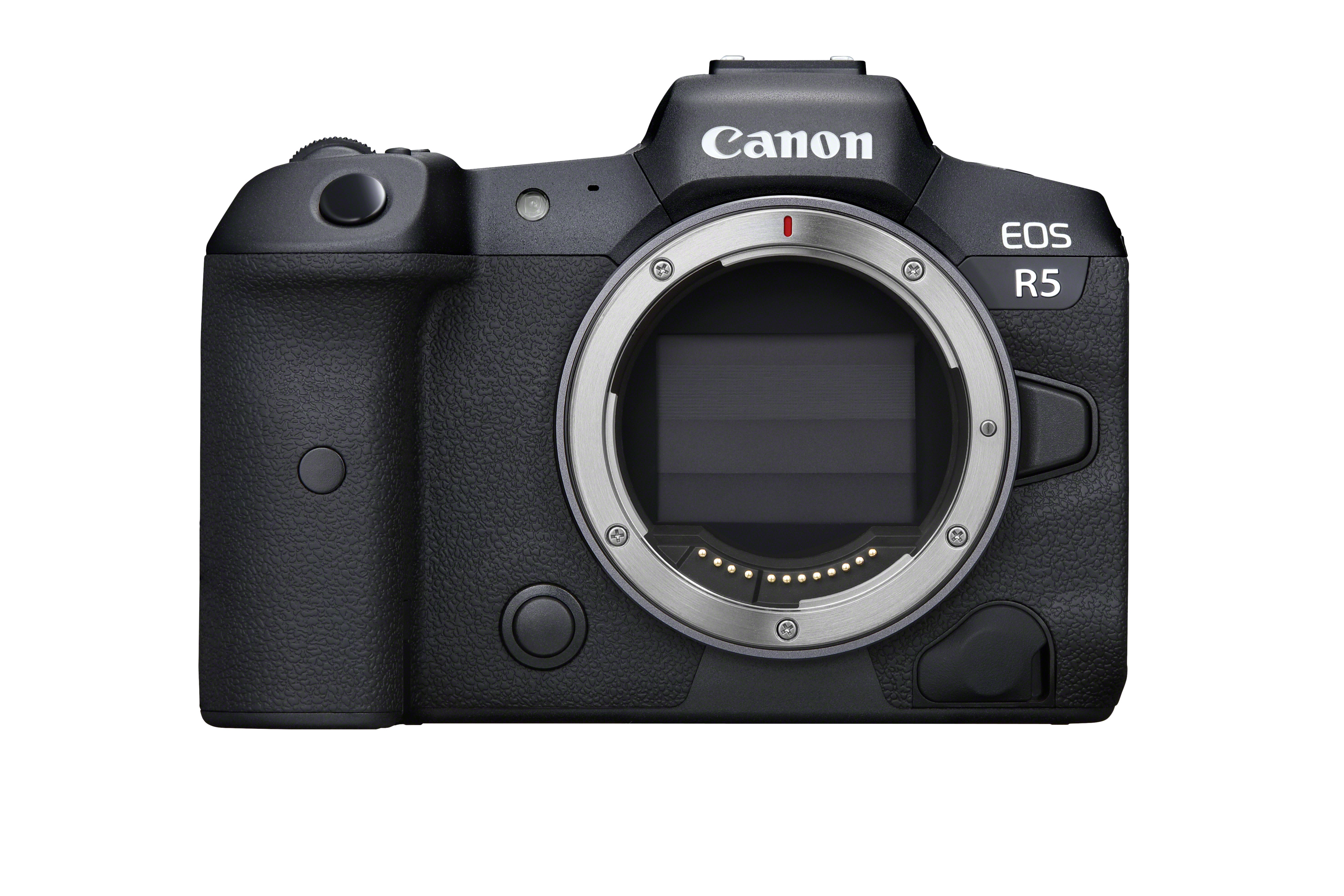 Canon EOS R5 Image 2
