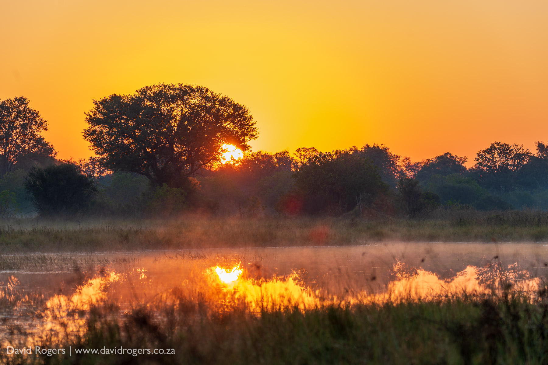 sunset shot on the Sigma 60-600mm f/4.5-6.3 DG OS HSM Sports lens