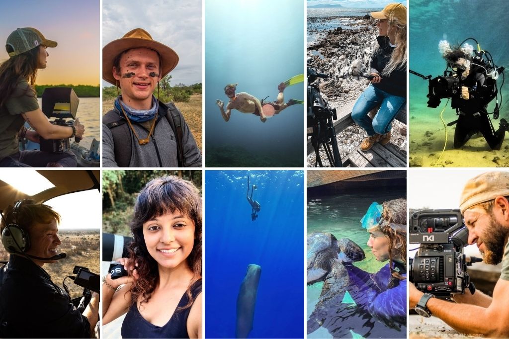 10 Conservation Content Creators You Should Be Following On Instagram