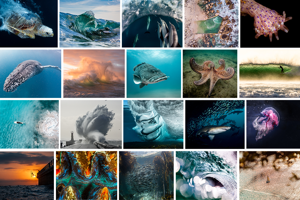 "The Ocean" - Our Finalists' Images Reveal The Magnificence Of The Sea