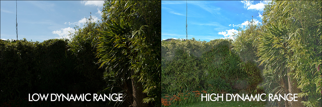 Dynamic Range