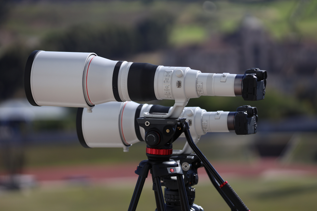 Mirrorless Super-Telephoto Lenses: What You Should Know