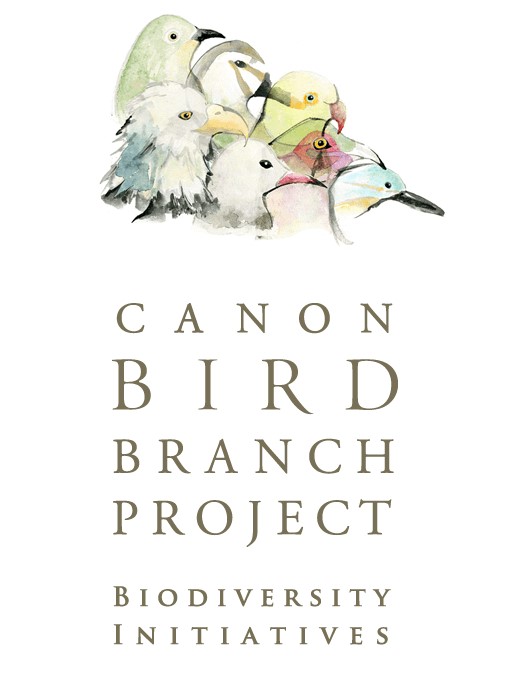 Canon Bird Branch Project