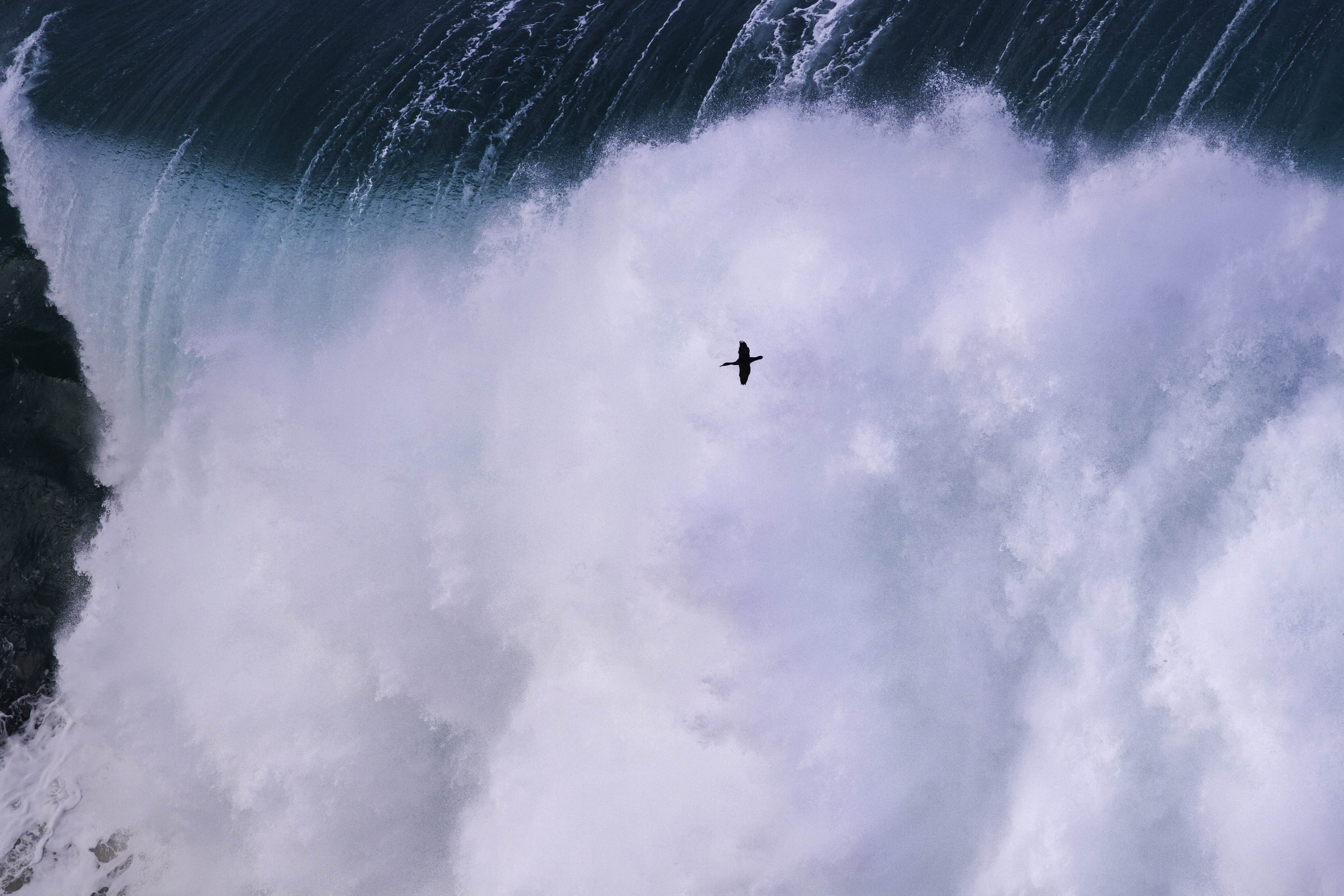 South African Photographer of The Year