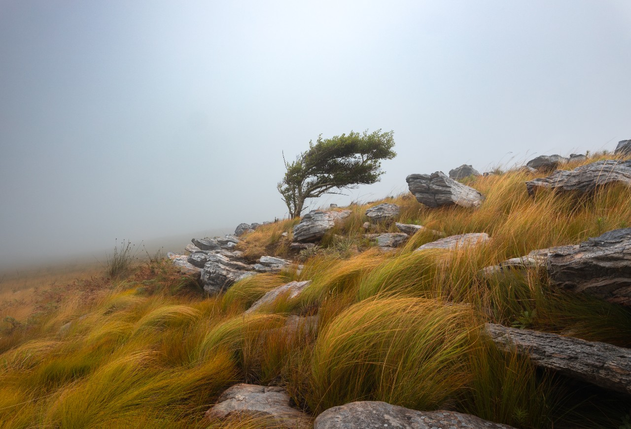 Capturing Nature's Magic: The Breathtaking Landscapes of Hein Kotze