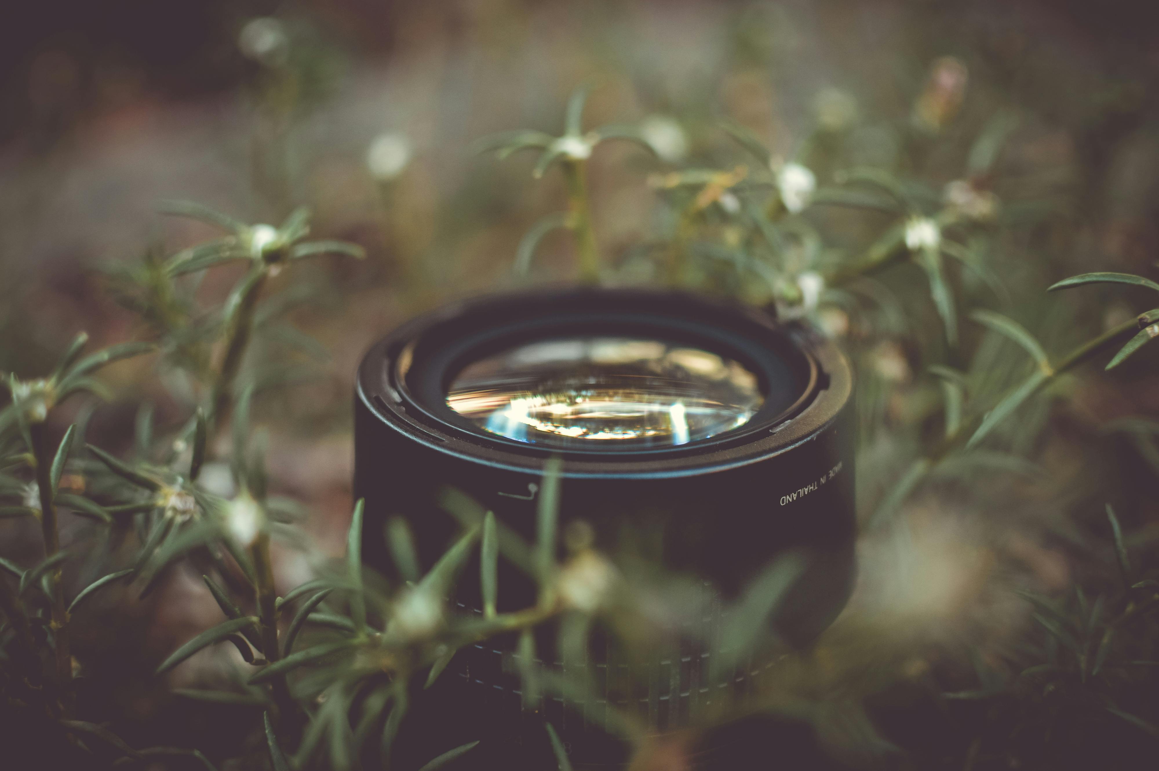 An Overview of Nikon's Sustainability Practices