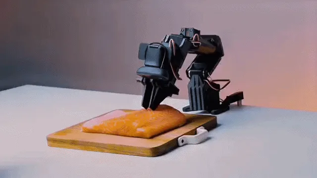 NormaCore ElRobot