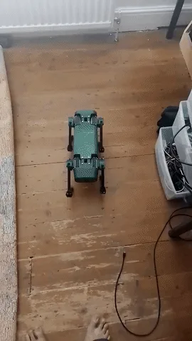 Yertle Quadruped