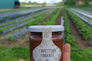 Crema nocciole 70% e cacao