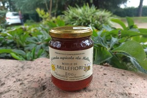 Miele millefiori medio