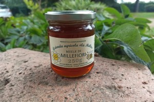 Miele millefiori piccolo