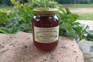 Miele millefiori grande