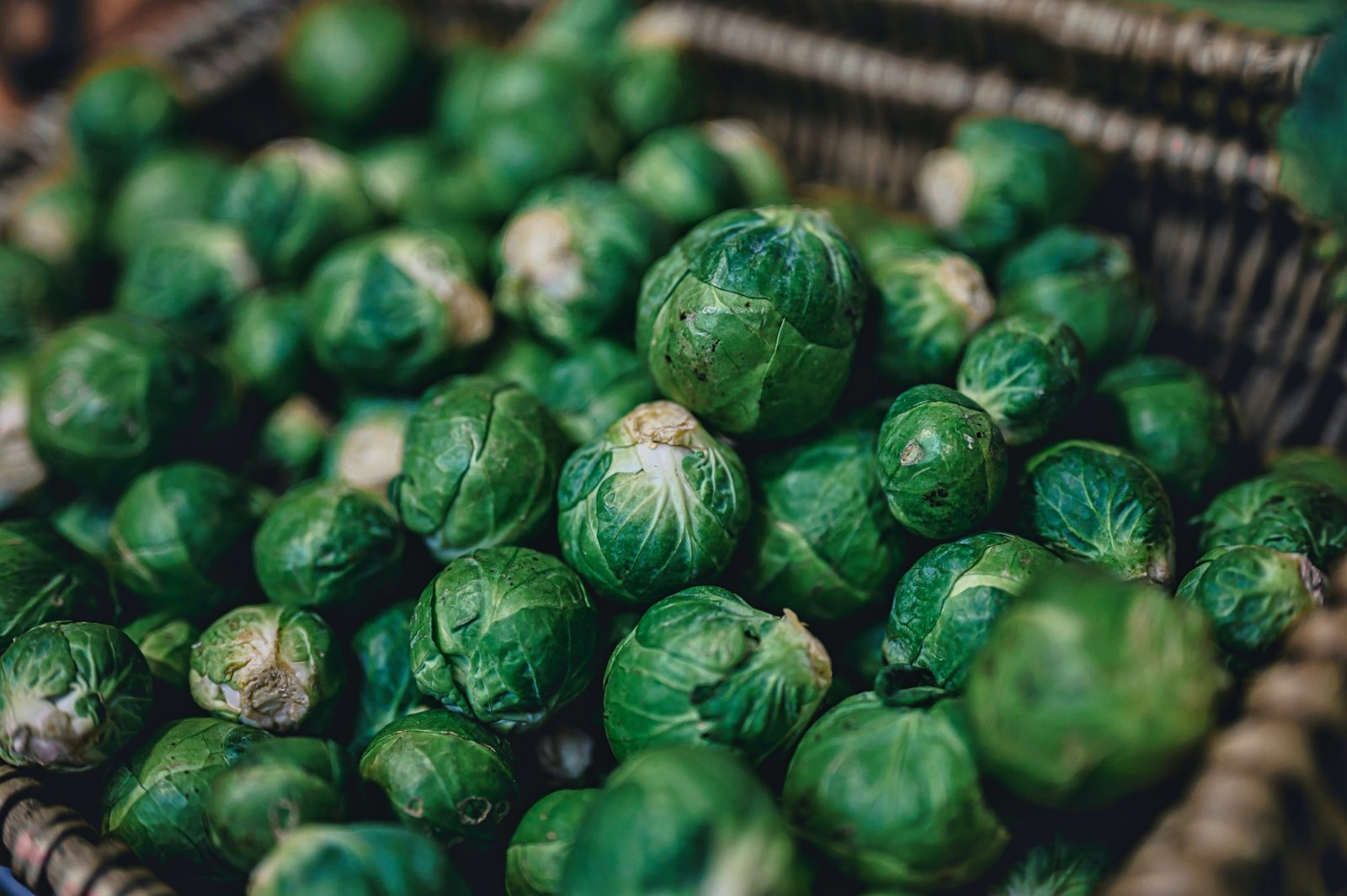 bright green brussels sprouts