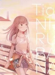 Nirvana cover art