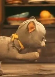 Mori no Ongakutai