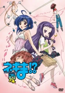 Negima!? Magister Negi Magi: Summer cover art