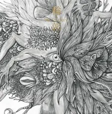 Rinkaku cover art