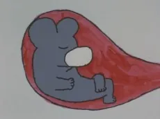 12-gatsu no Uta