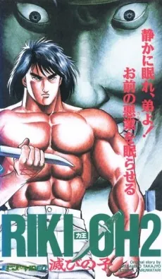 Riki-Oh 2: Child of Destruction cover art