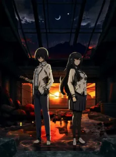 Kage no Jitsuryokusha ni Naritakute!: Zankyou-hen cover art