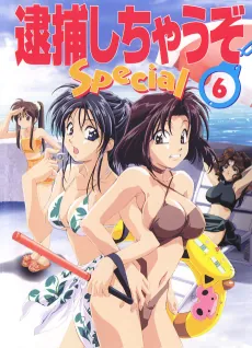You're Under Arrest: Diverting Traffic at the Beach cover art