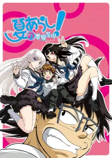 Natsu no Arashi! Season 2 cover art